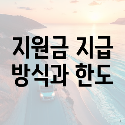 지원금 지급 방식과 한도