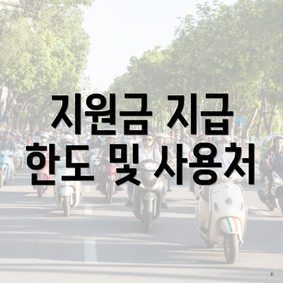 지원금 지급 한도 및 사용처
