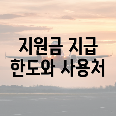 지원금 지급 한도와 사용처