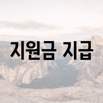 지원금 지급