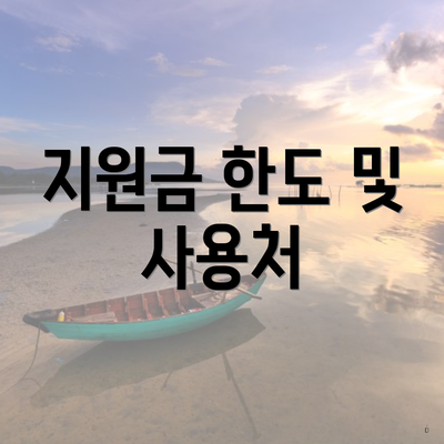 지원금 한도 및 사용처