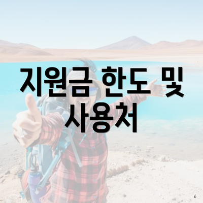 지원금 한도 및 사용처