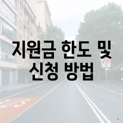 지원금 한도 및 신청 방법