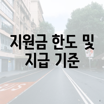 지원금 한도 및 지급 기준