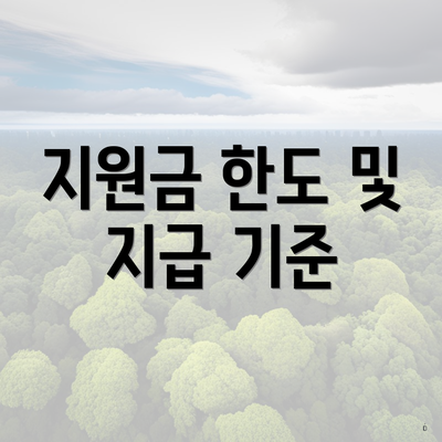 지원금 한도 및 지급 기준