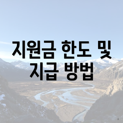 지원금 한도 및 지급 방법