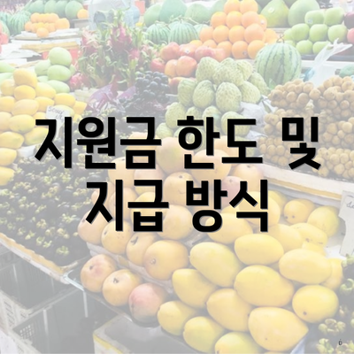 지원금 한도 및 지급 방식