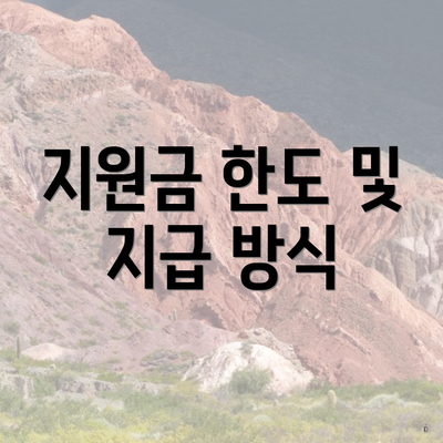지원금 한도 및 지급 방식