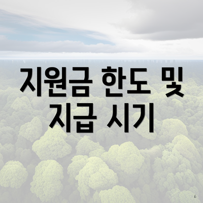 지원금 한도 및 지급 시기