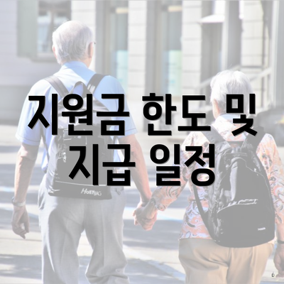 지원금 한도 및 지급 일정