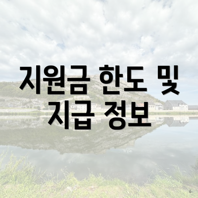 지원금 한도 및 지급 정보