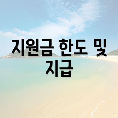 지원금 한도 및 지급