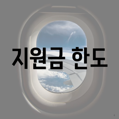 지원금 한도