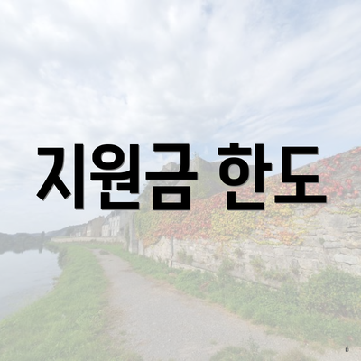 지원금 한도