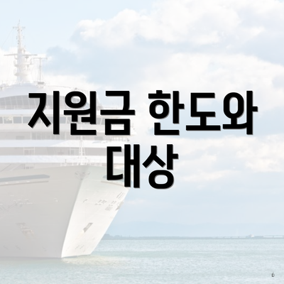 지원금 한도와 대상