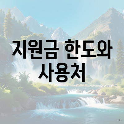지원금 한도와 사용처