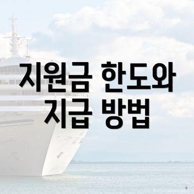 지원금 한도와 지급 방법
