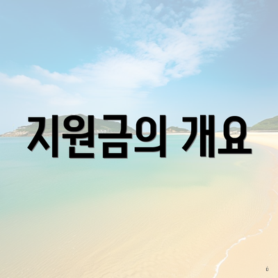 지원금의 개요