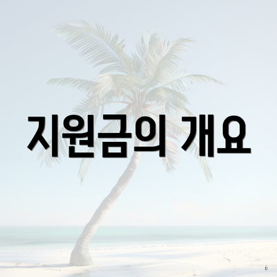 지원금의 개요