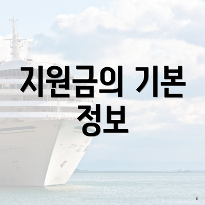 지원금의 기본 정보