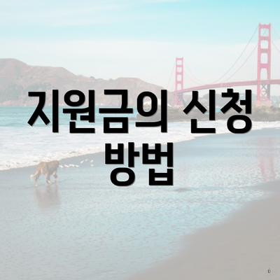 지원금의 신청 방법