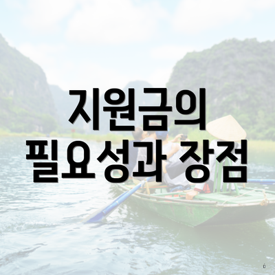 지원금의 필요성과 장점