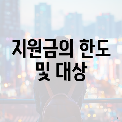 지원금의 한도 및 대상