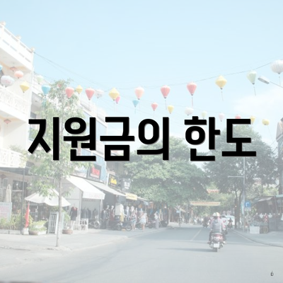 지원금의 한도