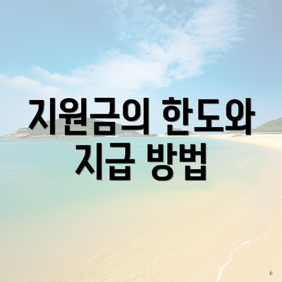 지원금의 한도와 지급 방법