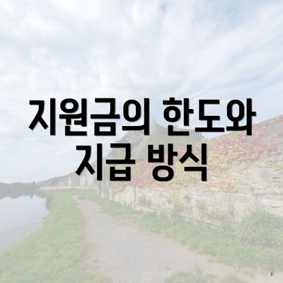 지원금의 한도와 지급 방식