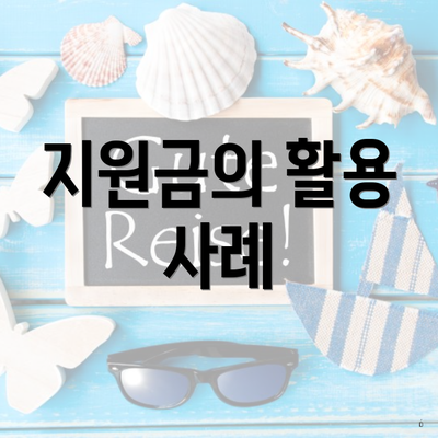 지원금의 활용 사례