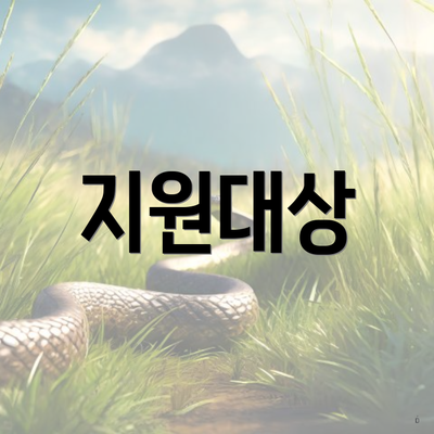 지원대상
