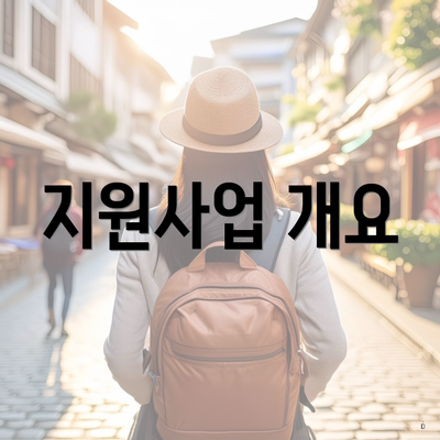 지원사업 개요