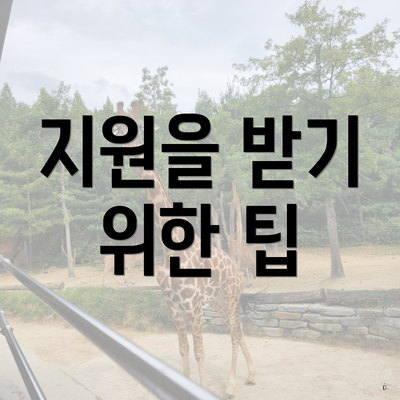 지원을 받기 위한 팁