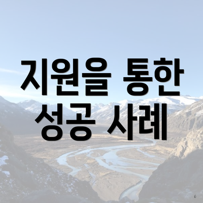 지원을 통한 성공 사례