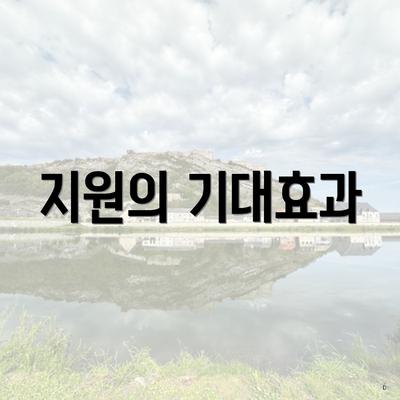 지원의 기대효과