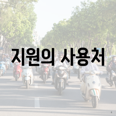 지원의 사용처