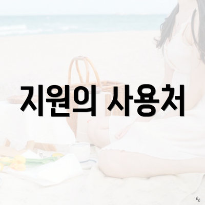 지원의 사용처