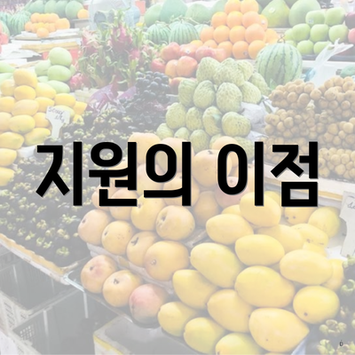 지원의 이점