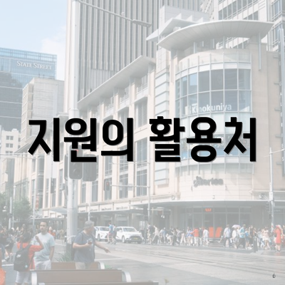 지원의 활용처