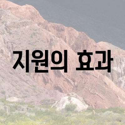 지원의 효과