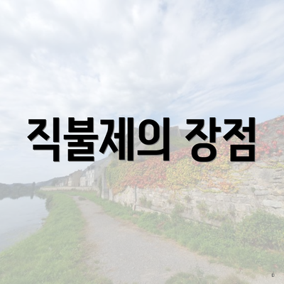 직불제의 장점