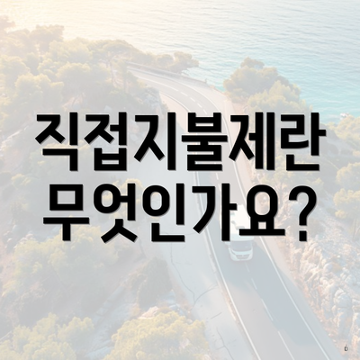 직접지불제란 무엇인가요?