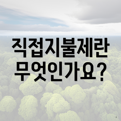 직접지불제란 무엇인가요?