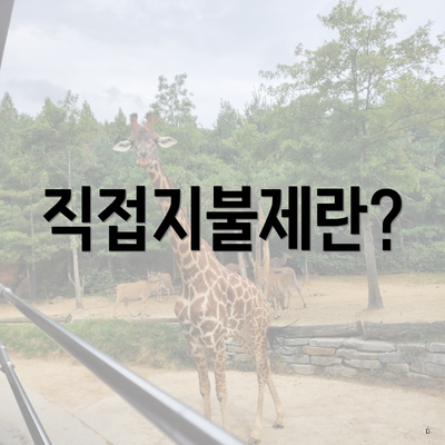 직접지불제란?