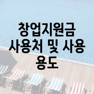 창업지원금 사용처 및 사용 용도