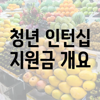 청년 인턴십 지원금 개요