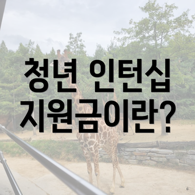 청년 인턴십 지원금이란?