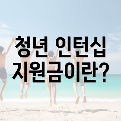 청년 인턴십 지원금이란?