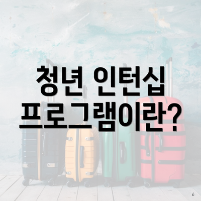 청년 인턴십 프로그램이란?